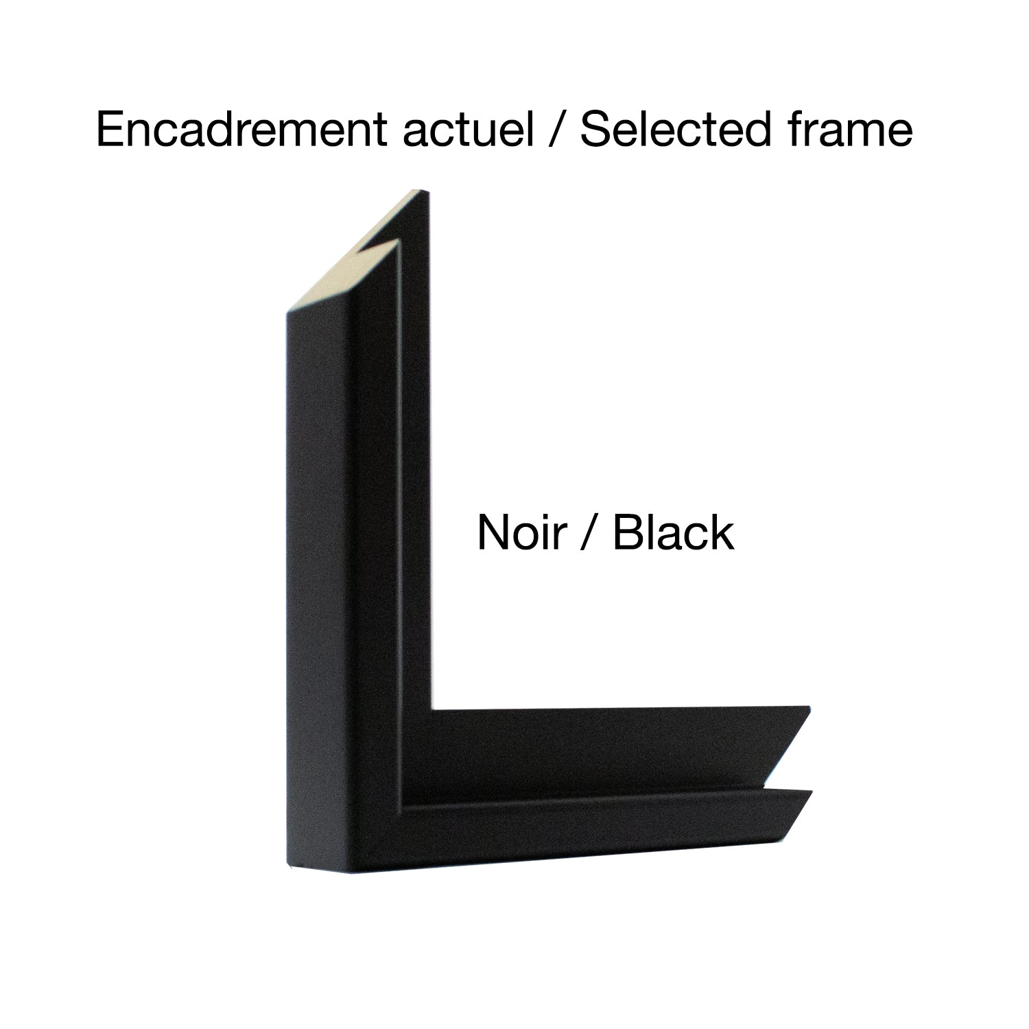 J. Douglas Thompson | Reunion