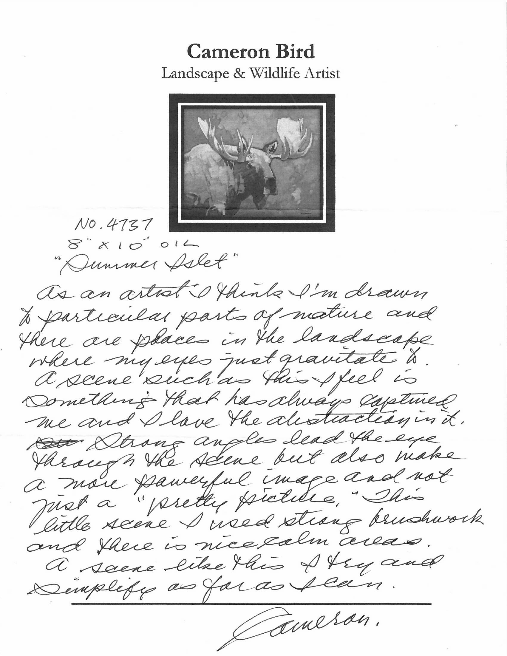 Cameron Bird | Summer Islet