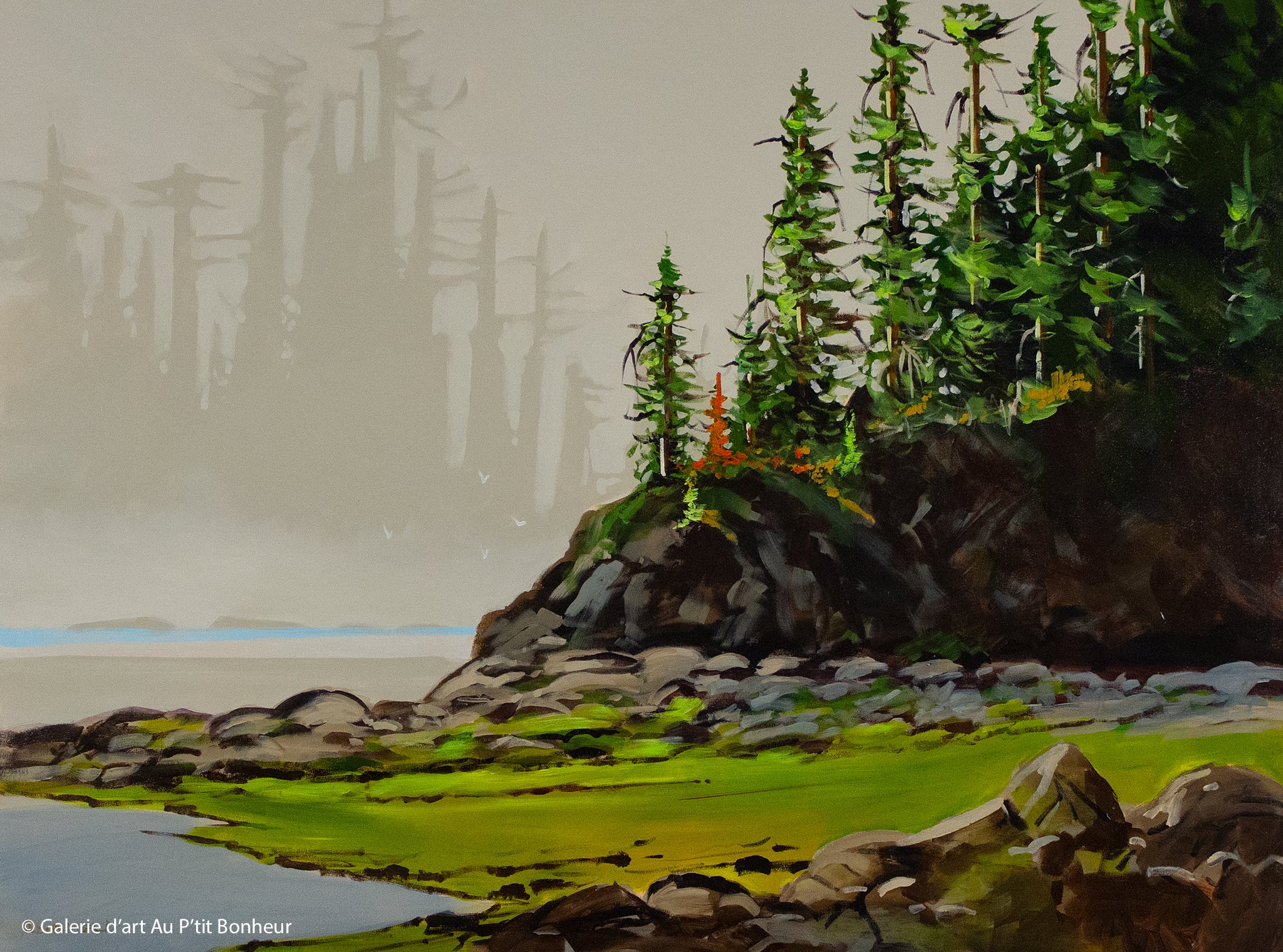 Allan Dunfield | Hidden Shores