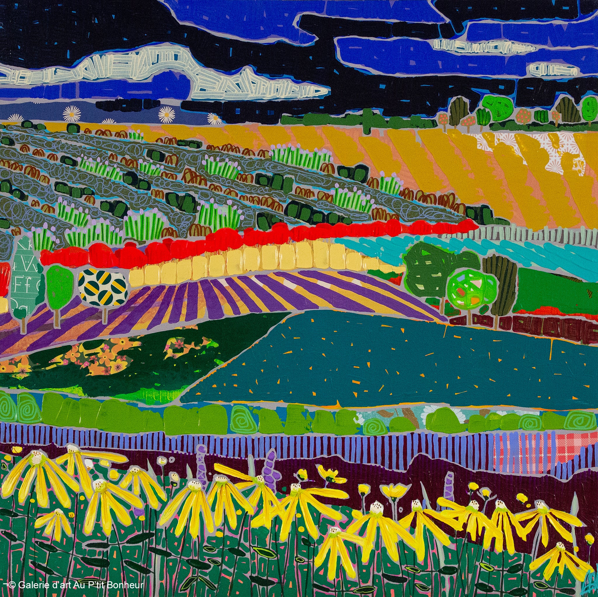 Ann Murphy | Field of Daisies