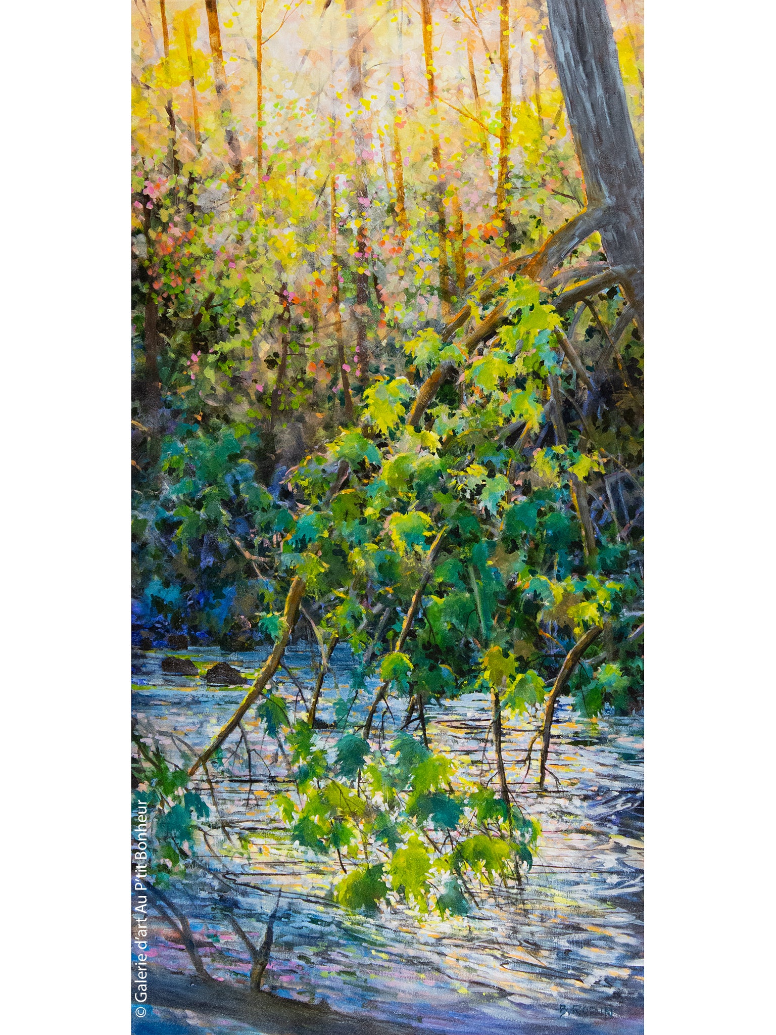 Bev Rodin | Forest Light Series: Graceful