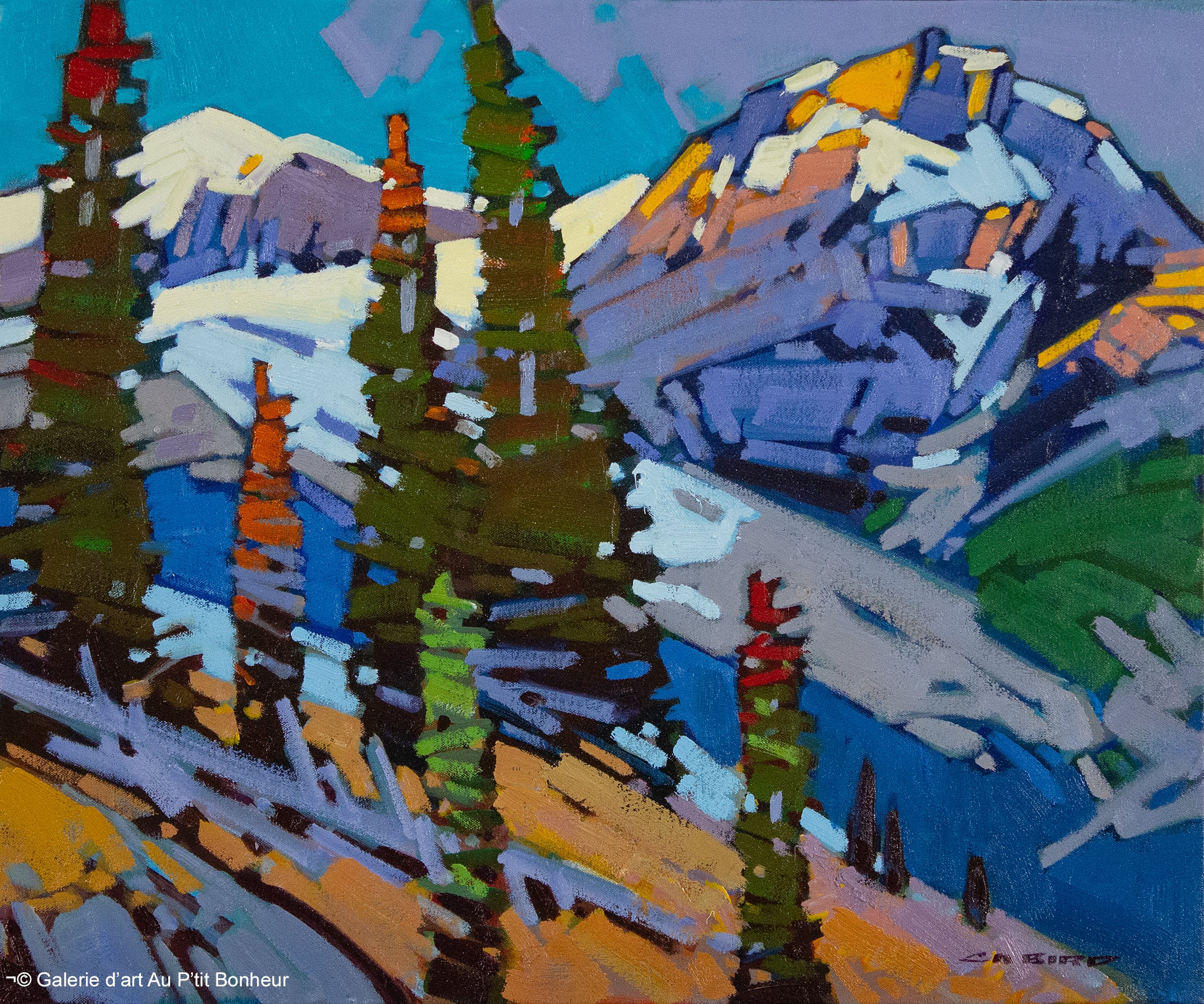 Cameron Bird | Peyto Glacier Icefields Parkway