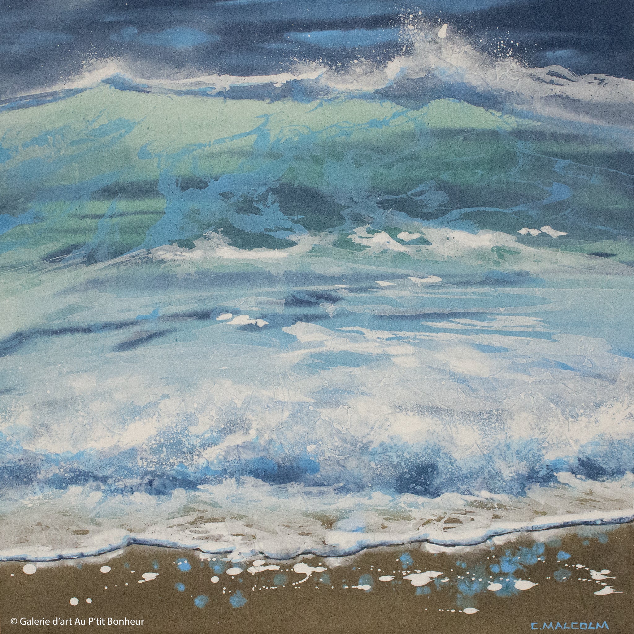 Carole Malcolm | Shoreline Study 13624