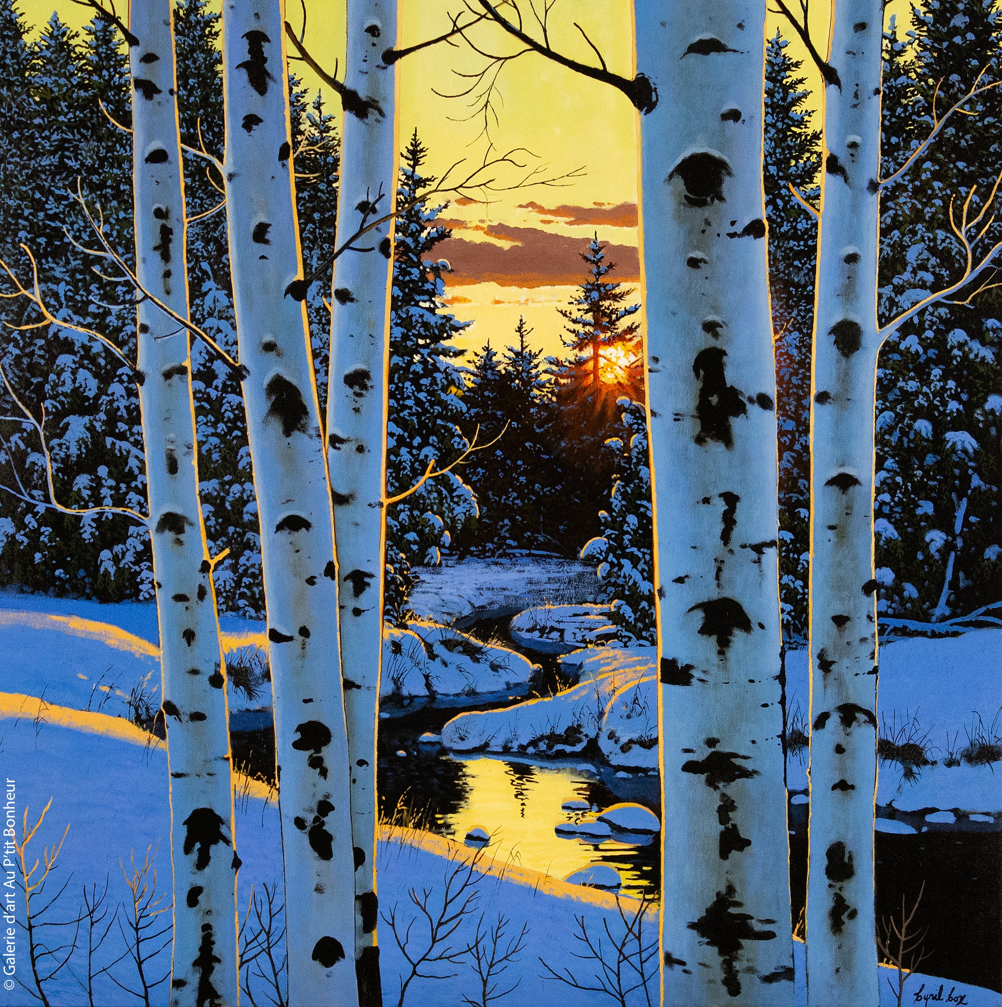 Cyril Cox | Winter’s Glow