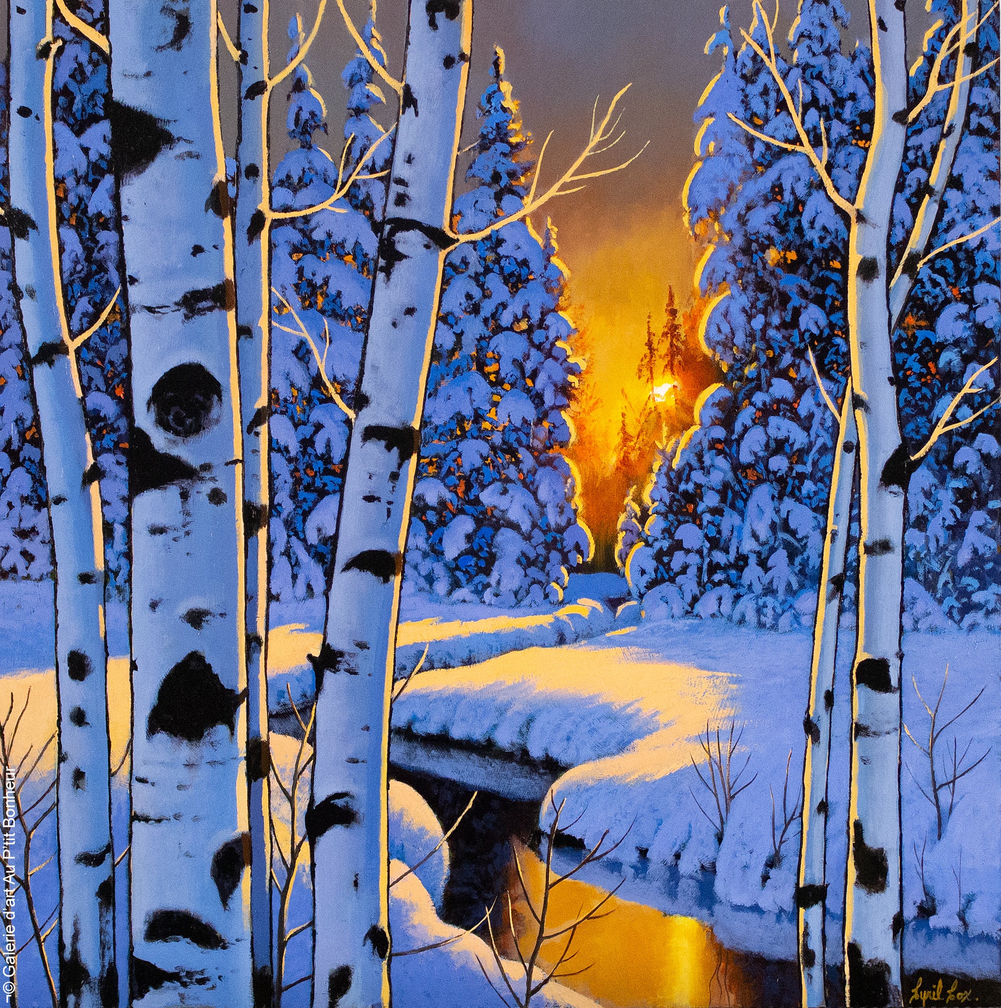 Cyril Cox | Winter Gold