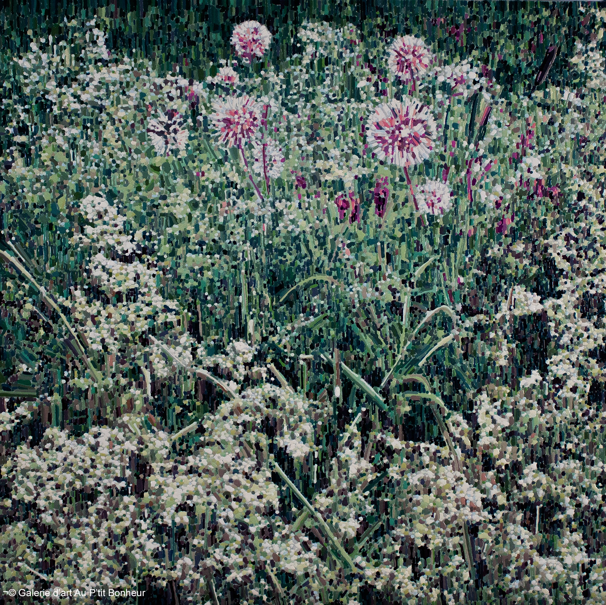 Élyse Turbide | Jardins sauvages LXIII