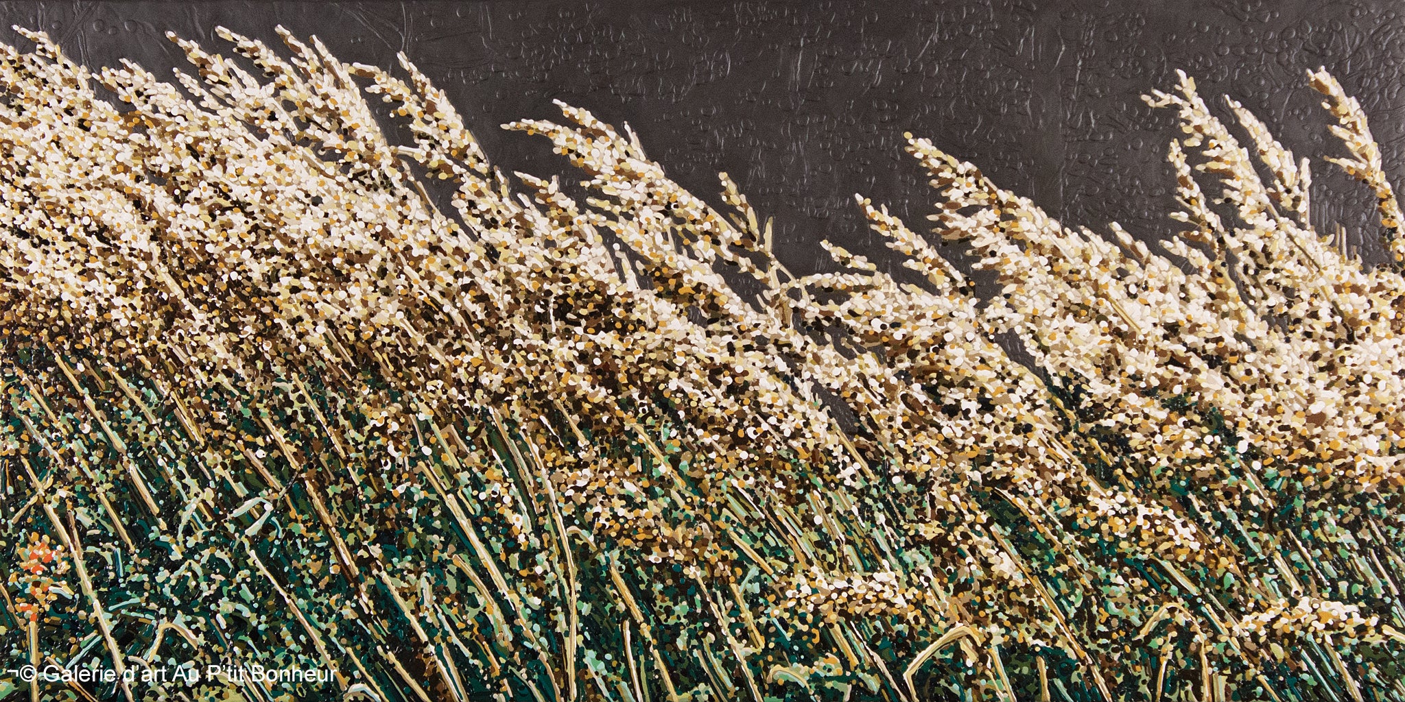 Elyse Turbide | Jardins sauvages XXV