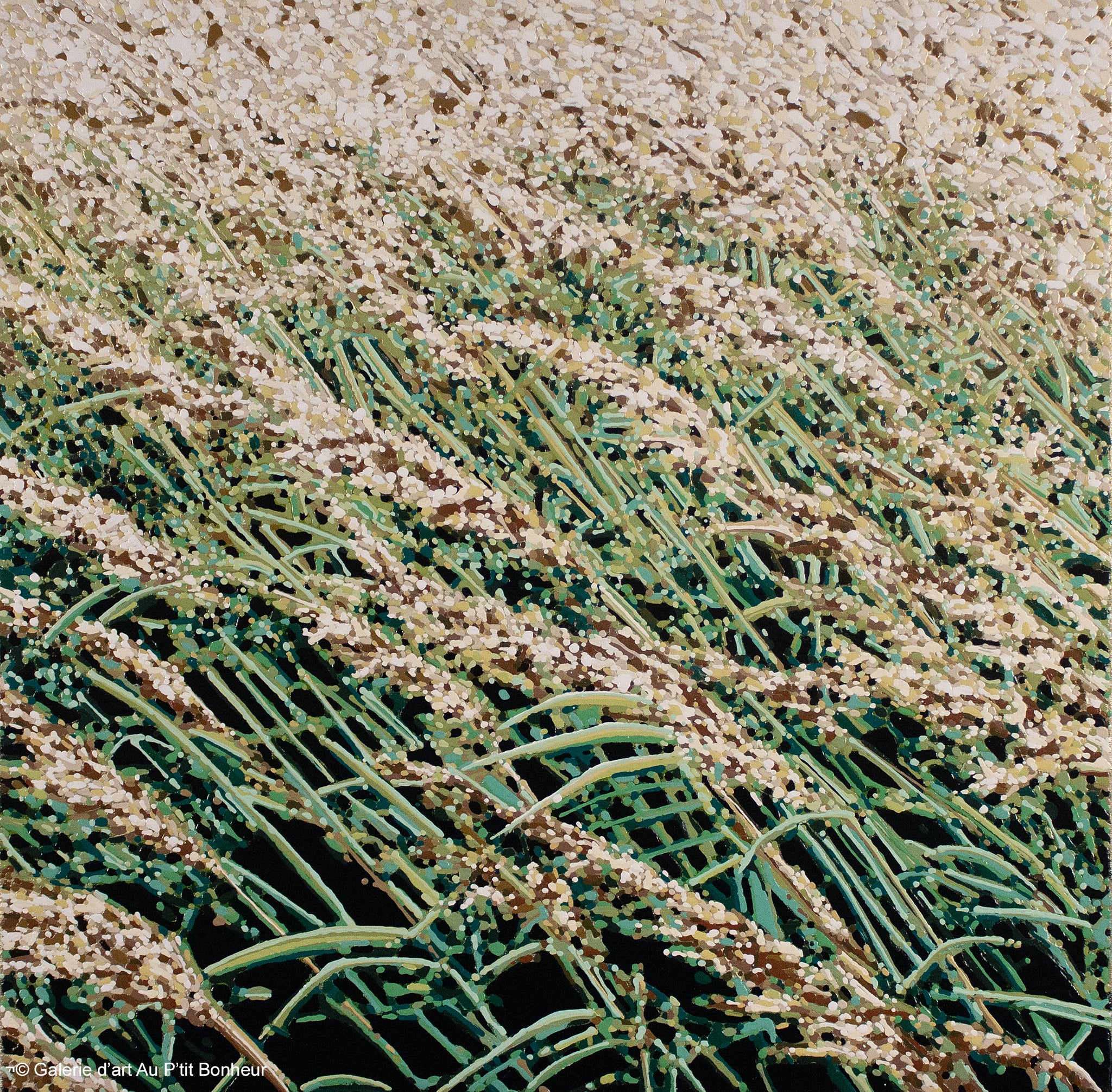 Elyse Turbide | Jardins sauvages XLVII