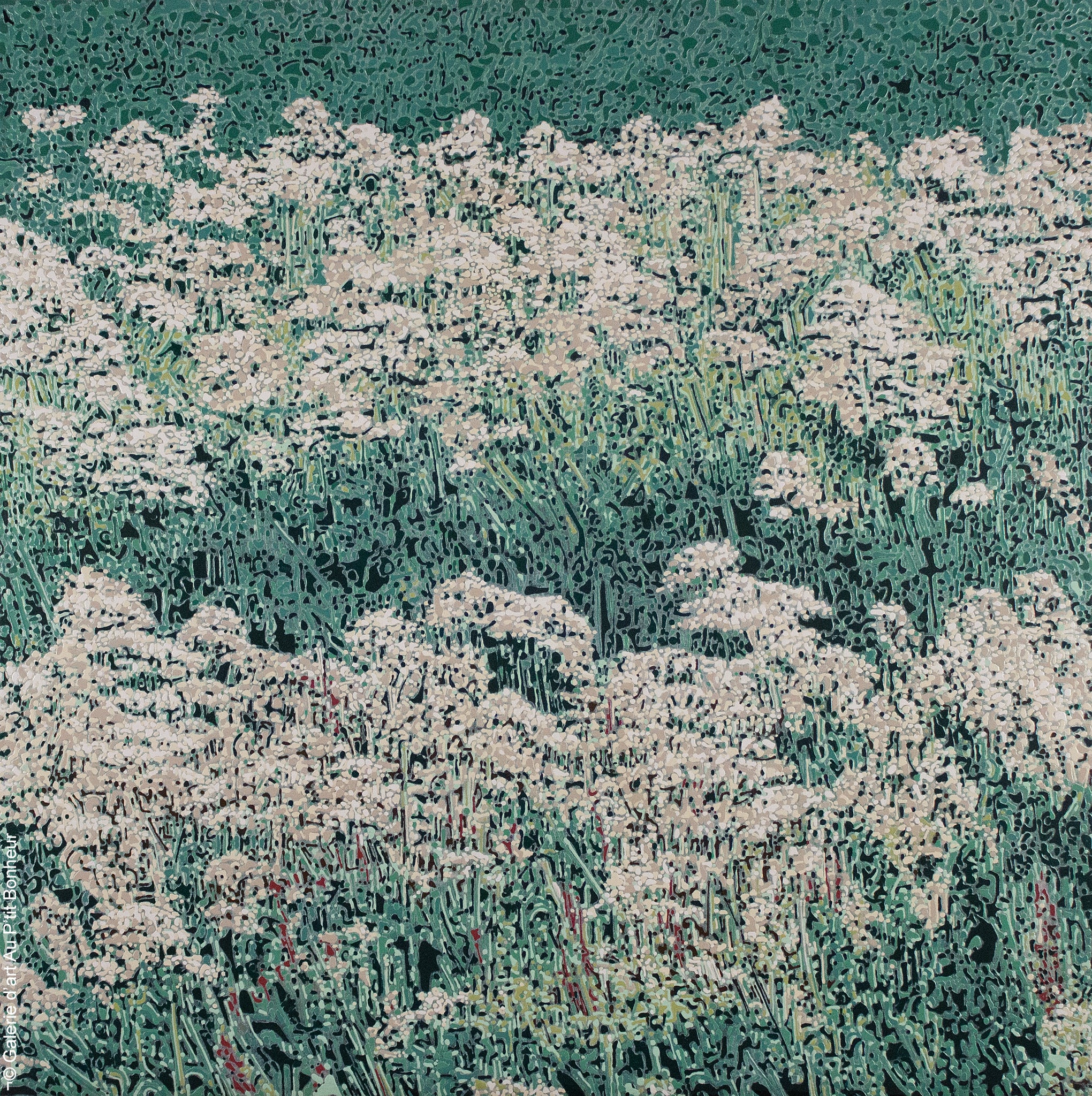 Elyse Turbide | Jardins sauvages XXXIII