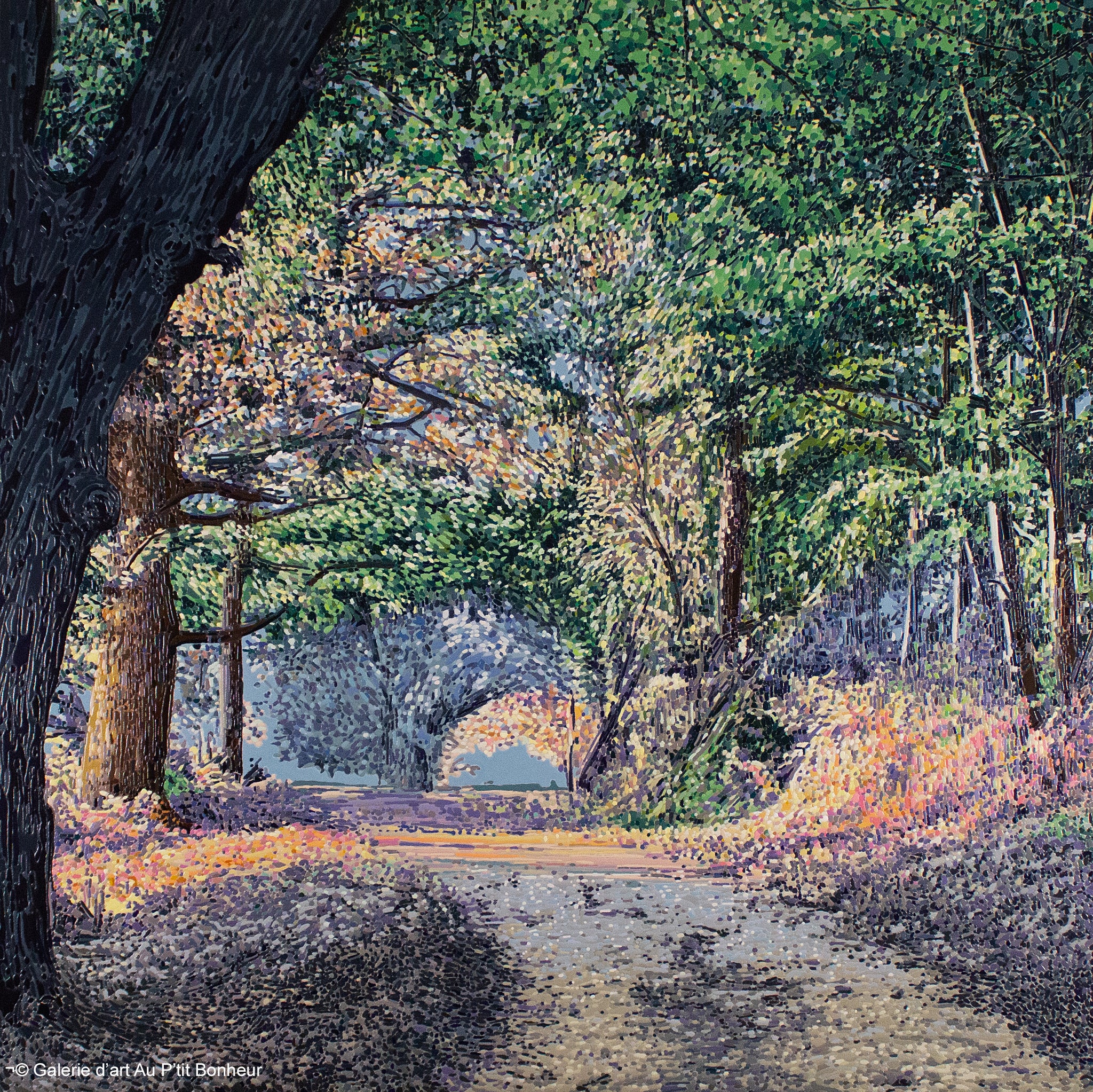 Elyse Turbide, artiste peintre | Oeuvres disponibles  | Galerie d'art Au P'tit Bonheur