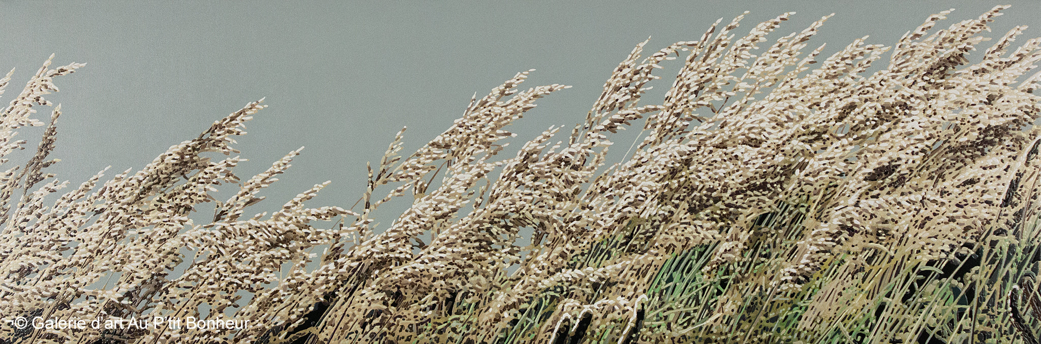 Elyse Turbide | Jardins sauvages CIV