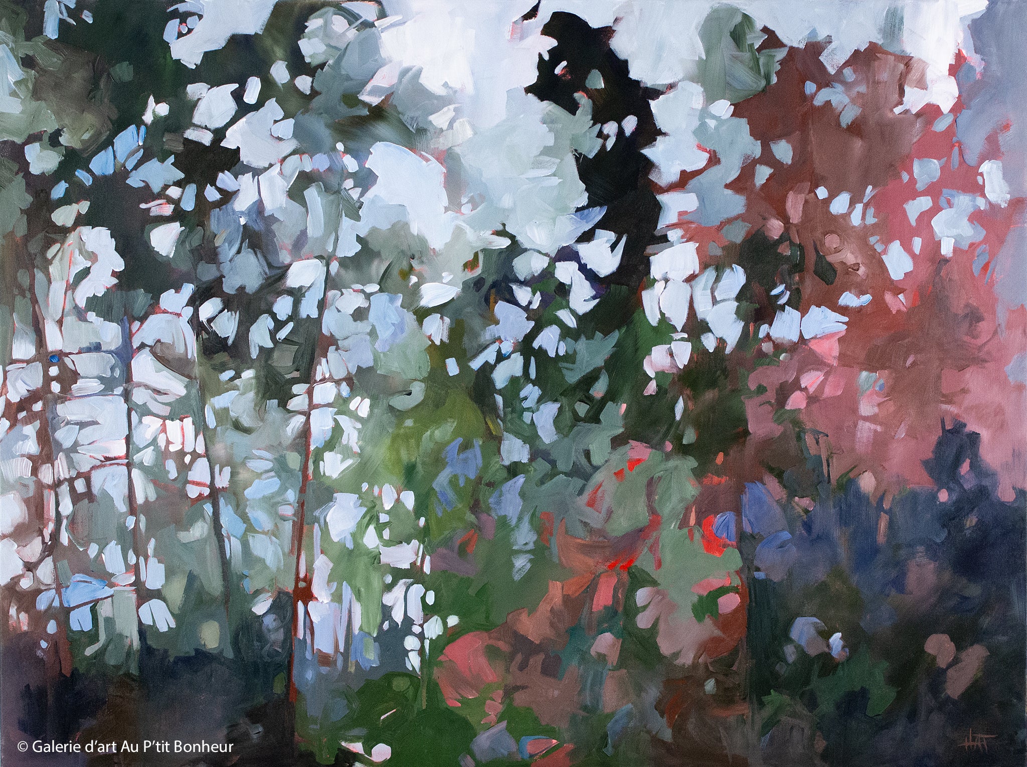 Holly Ann Friesen | Forest Tales