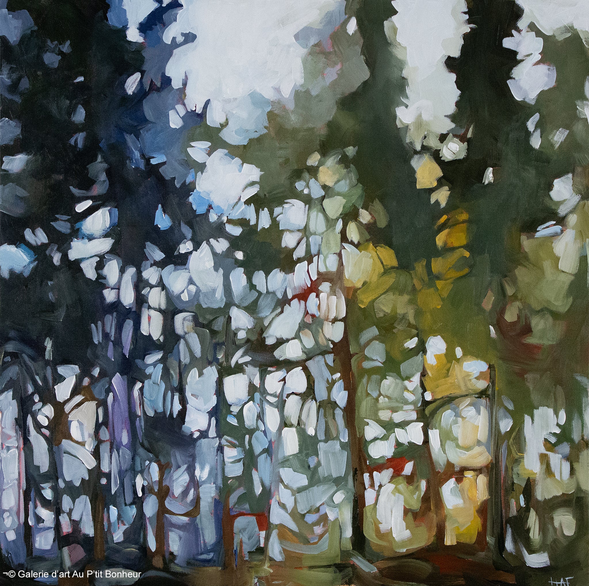 Holly Ann Friesen | A Glimpse Beyond