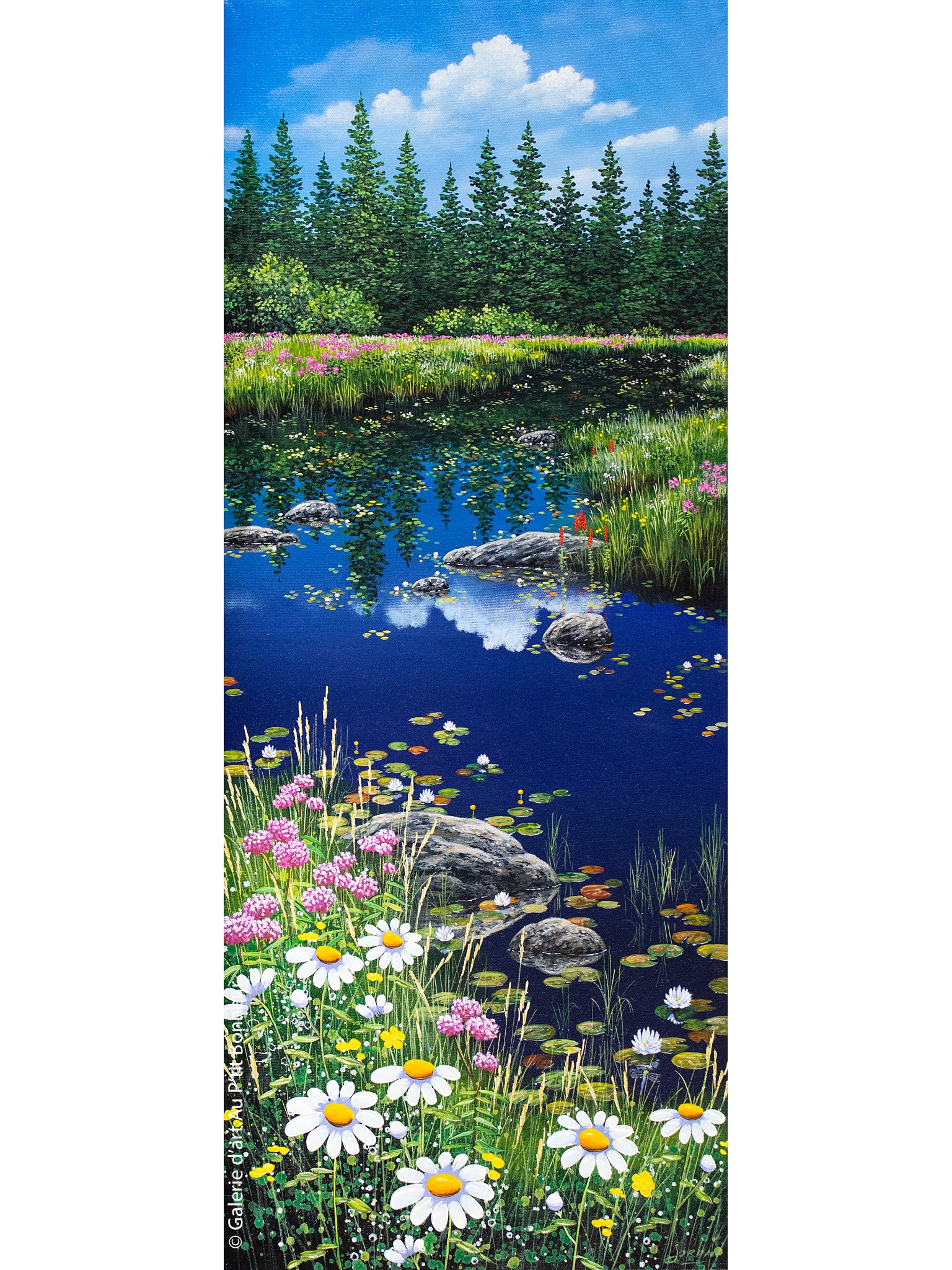 Jordan Hicks | Wildflowers & Water Lilies