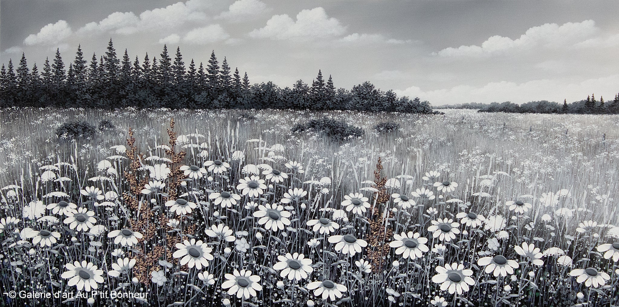 Jordan Hicks | Cumulus Over Meadow