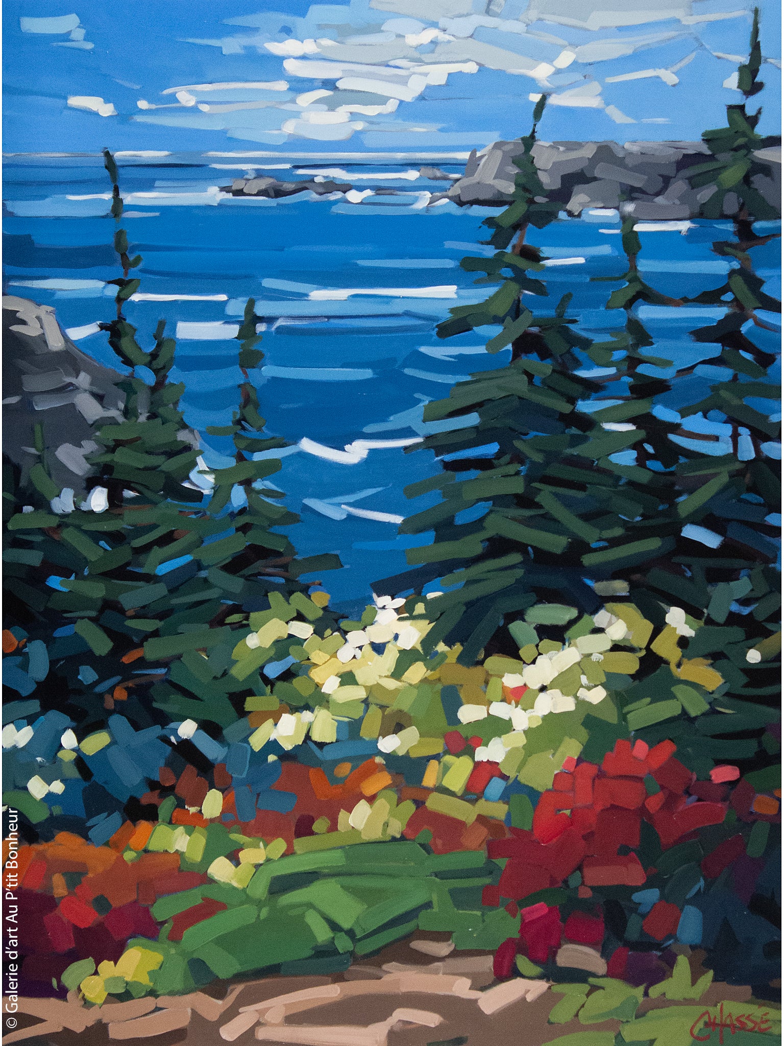 Martine Chassé | Sleepy Cove, Terre-Neuve