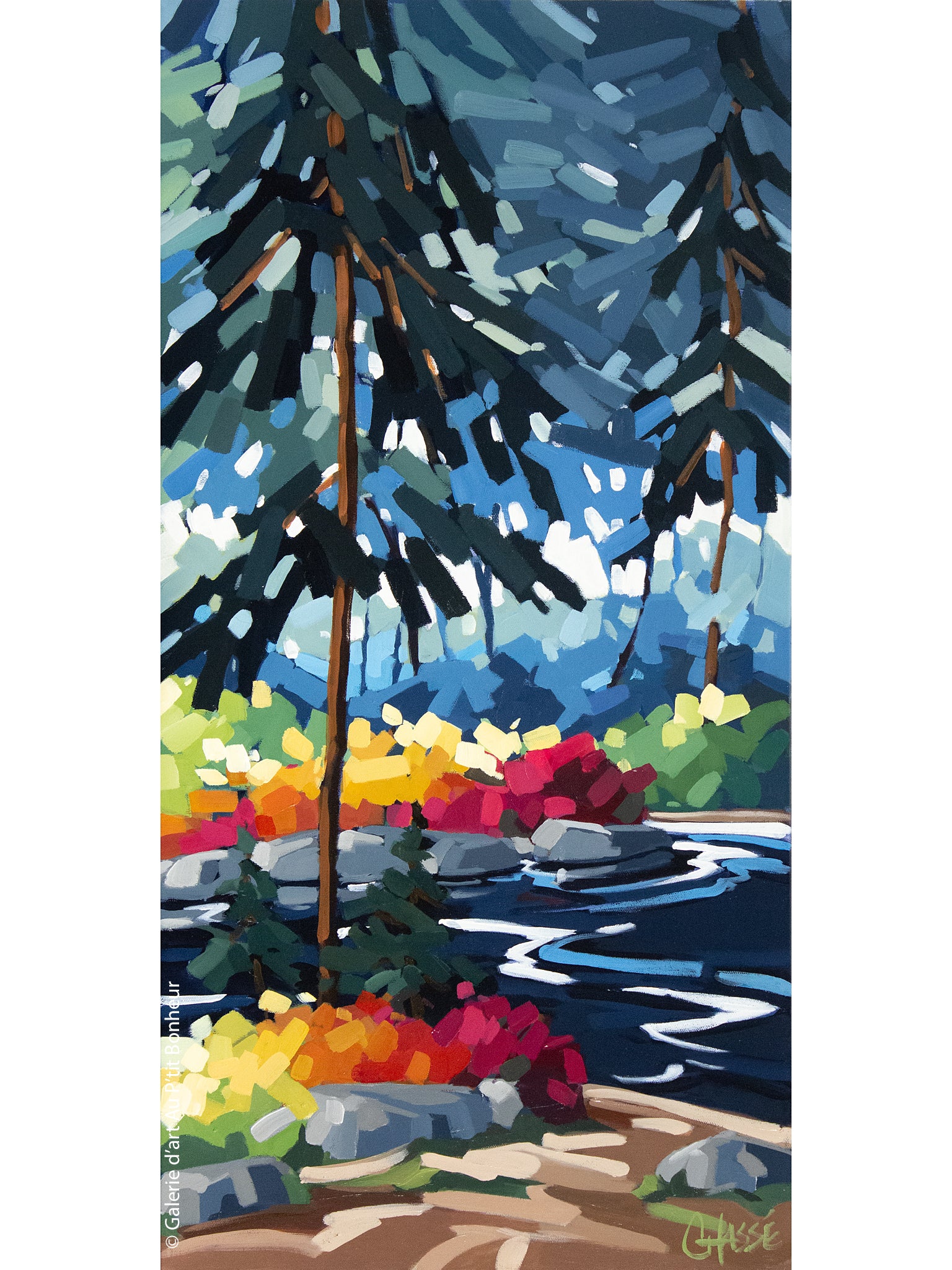 Martine Chassé | Là où je prends racine 4