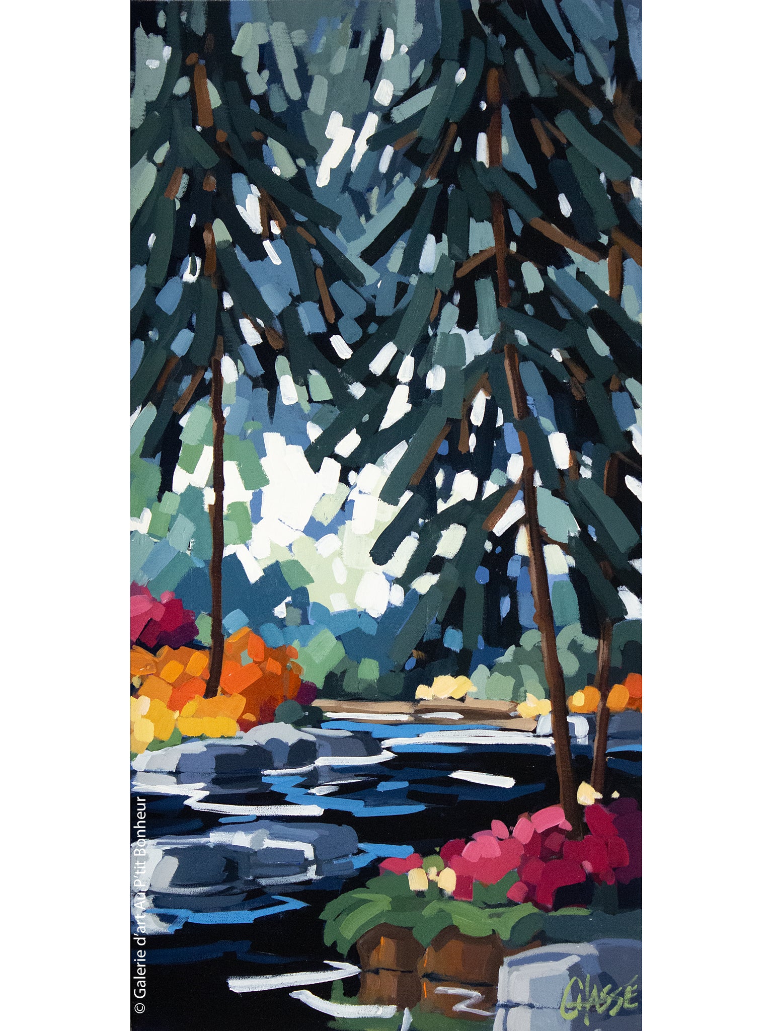 Martine Chassé | Là où je prends racine 6