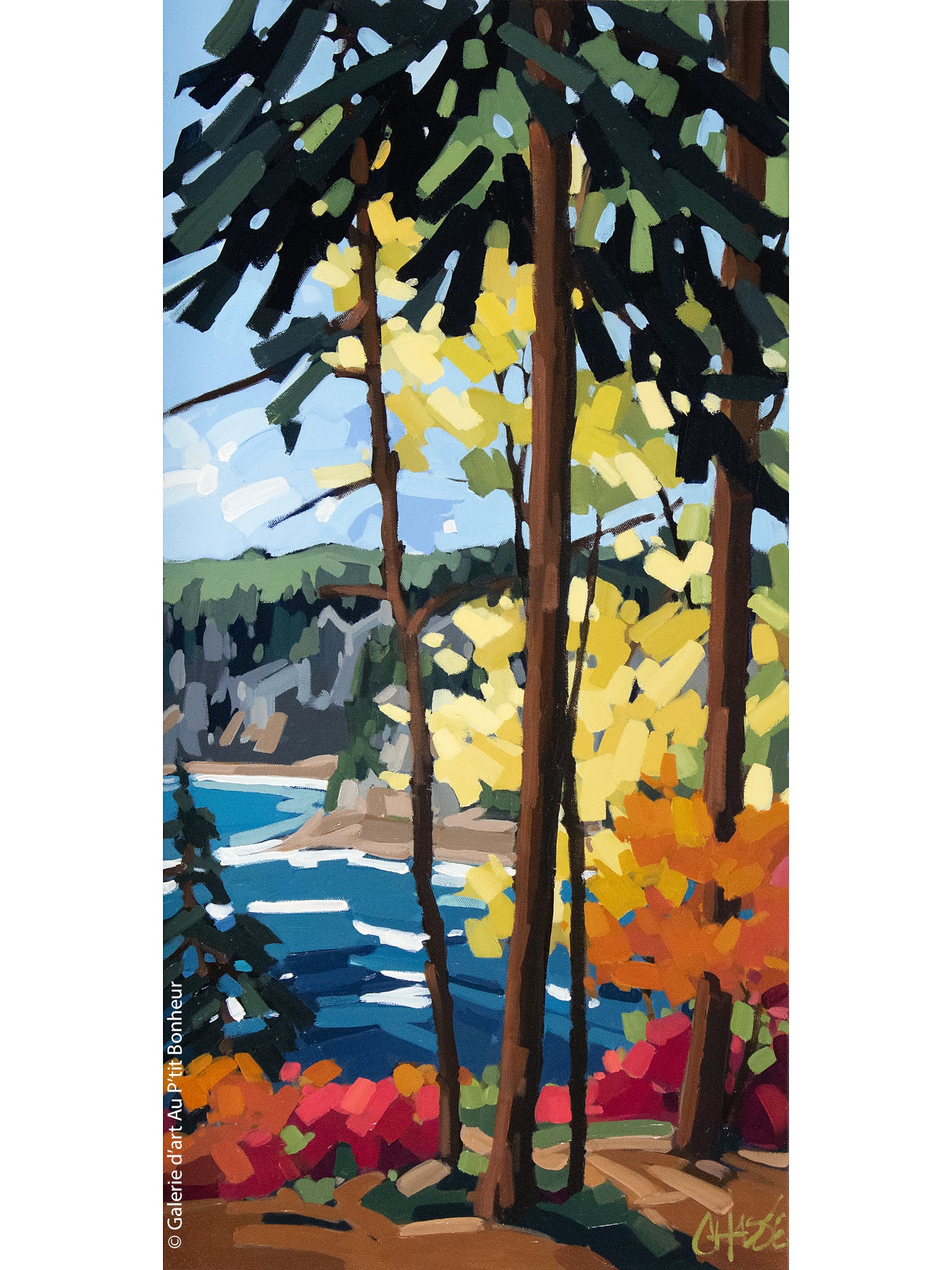 Martine Chassé | On s’est arrêté ici un instant