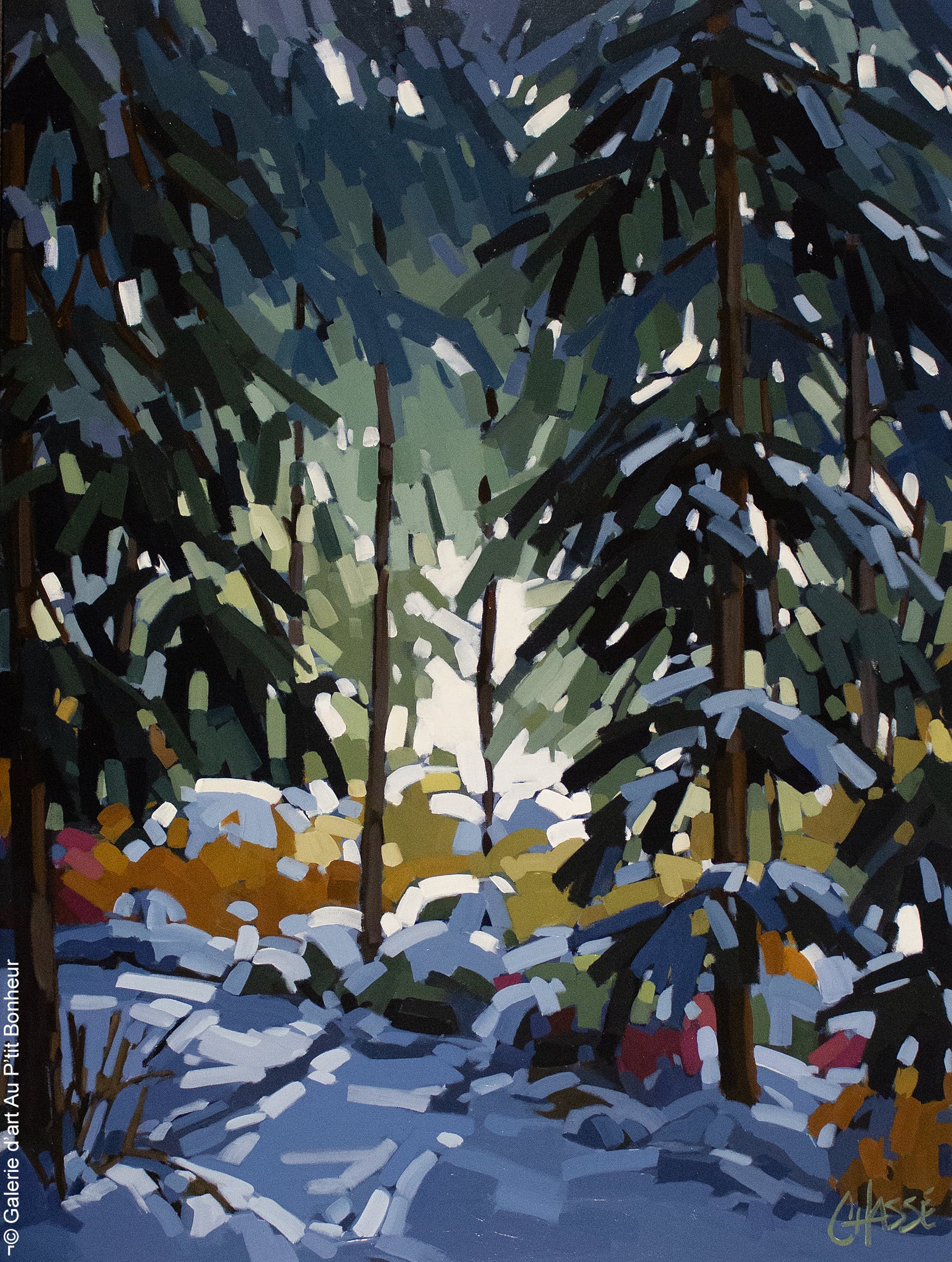 Martine Chassé | Sous la neige 1