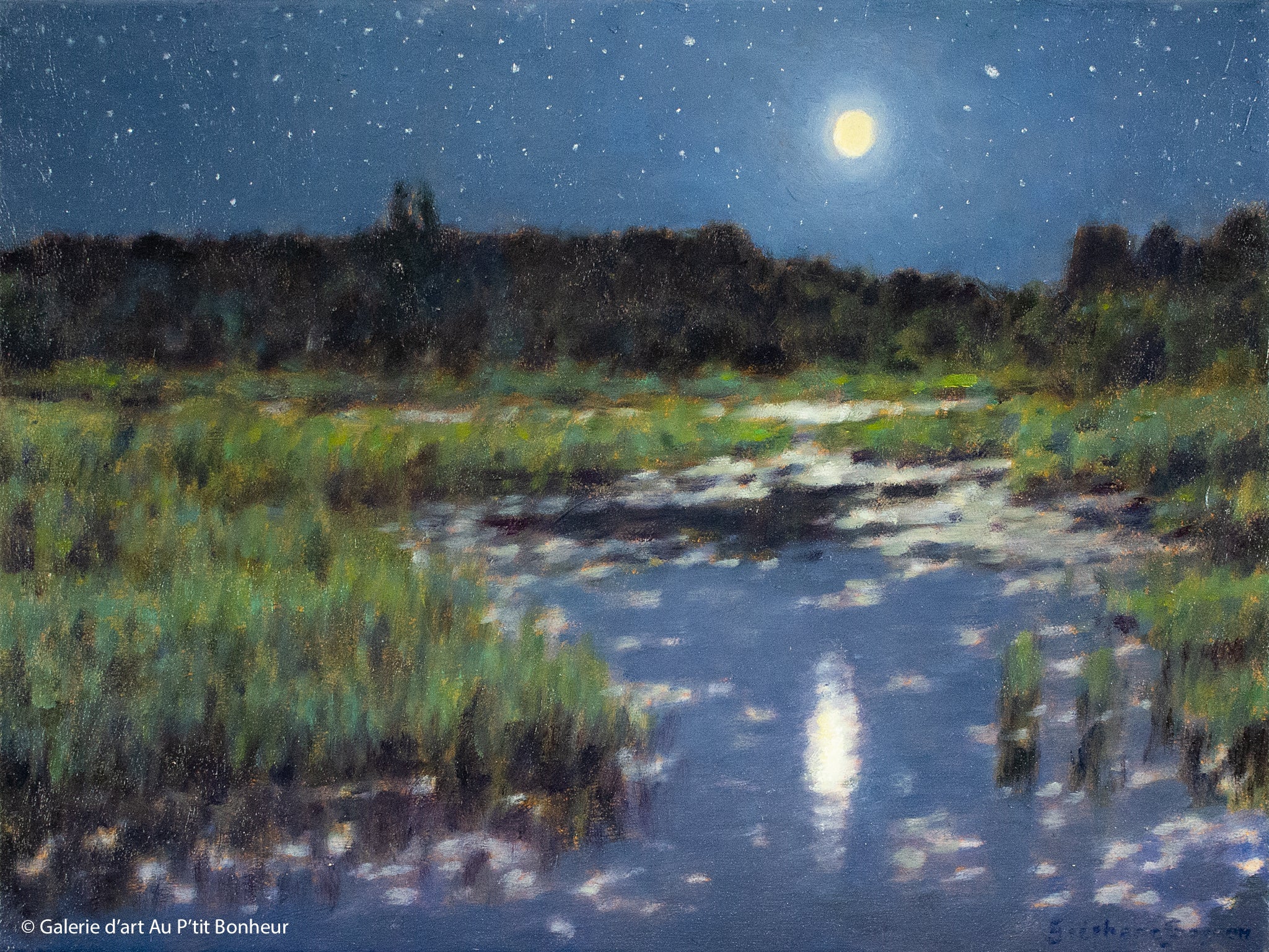 Stéphane Gagnon | Une nuit au marais