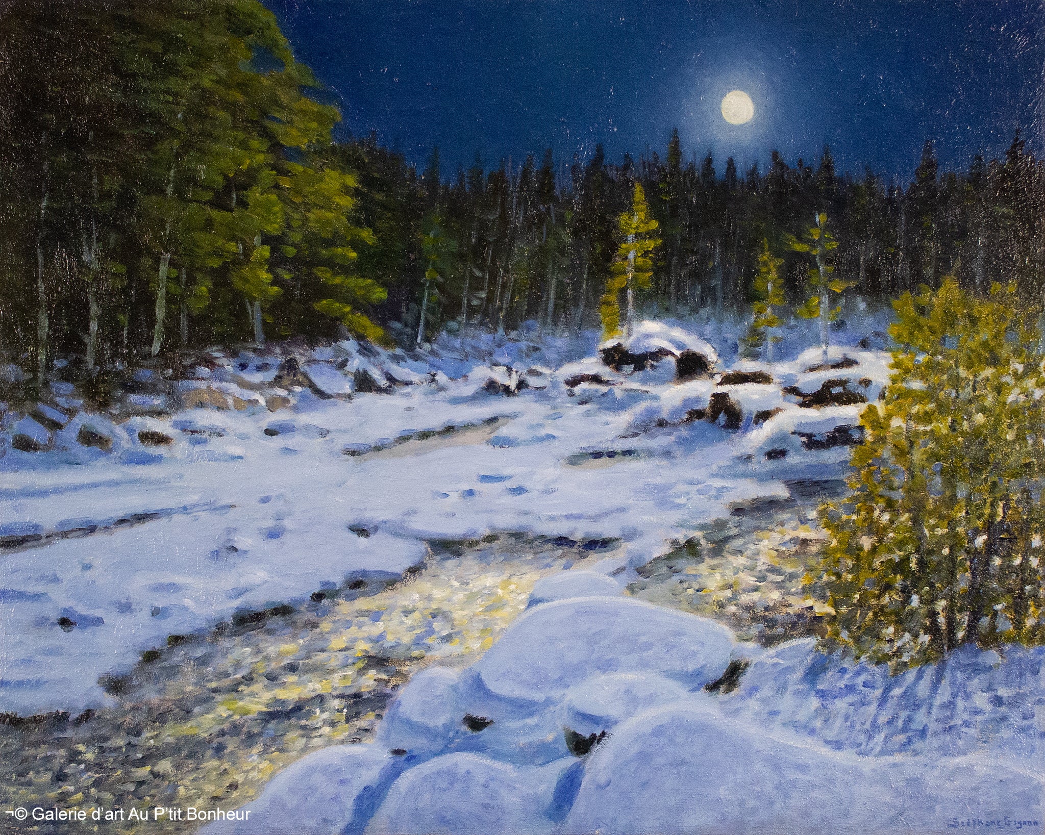 Stéphane Gagnon | Une nuit toute en lumière