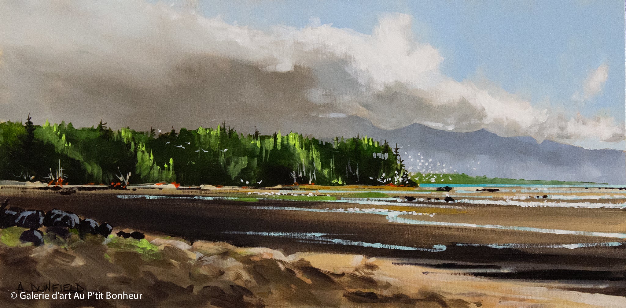 Allan Dunfield | Herring Shores, Vancouver Island