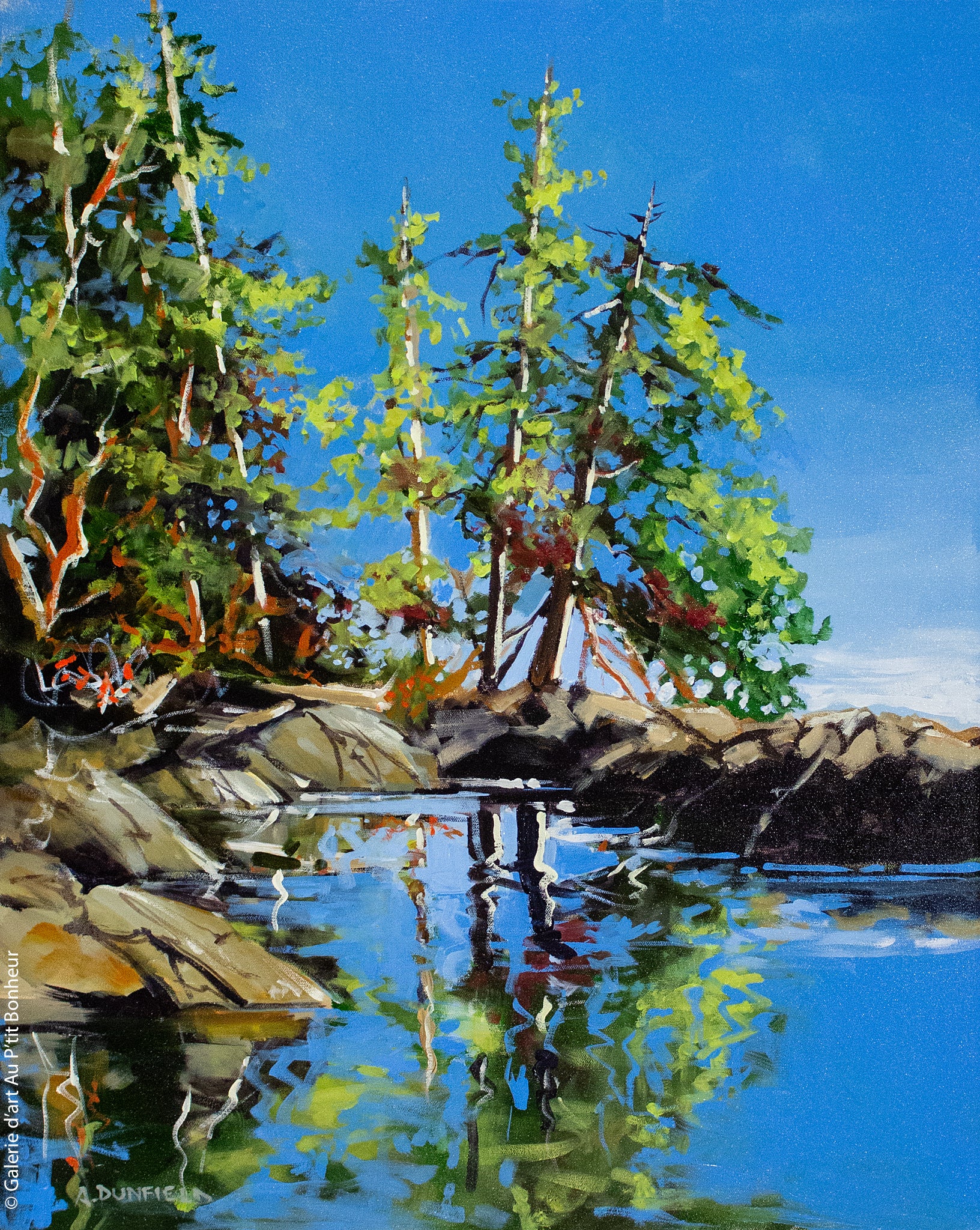 Allan Dunfield | Island Shores, Vancouver Island