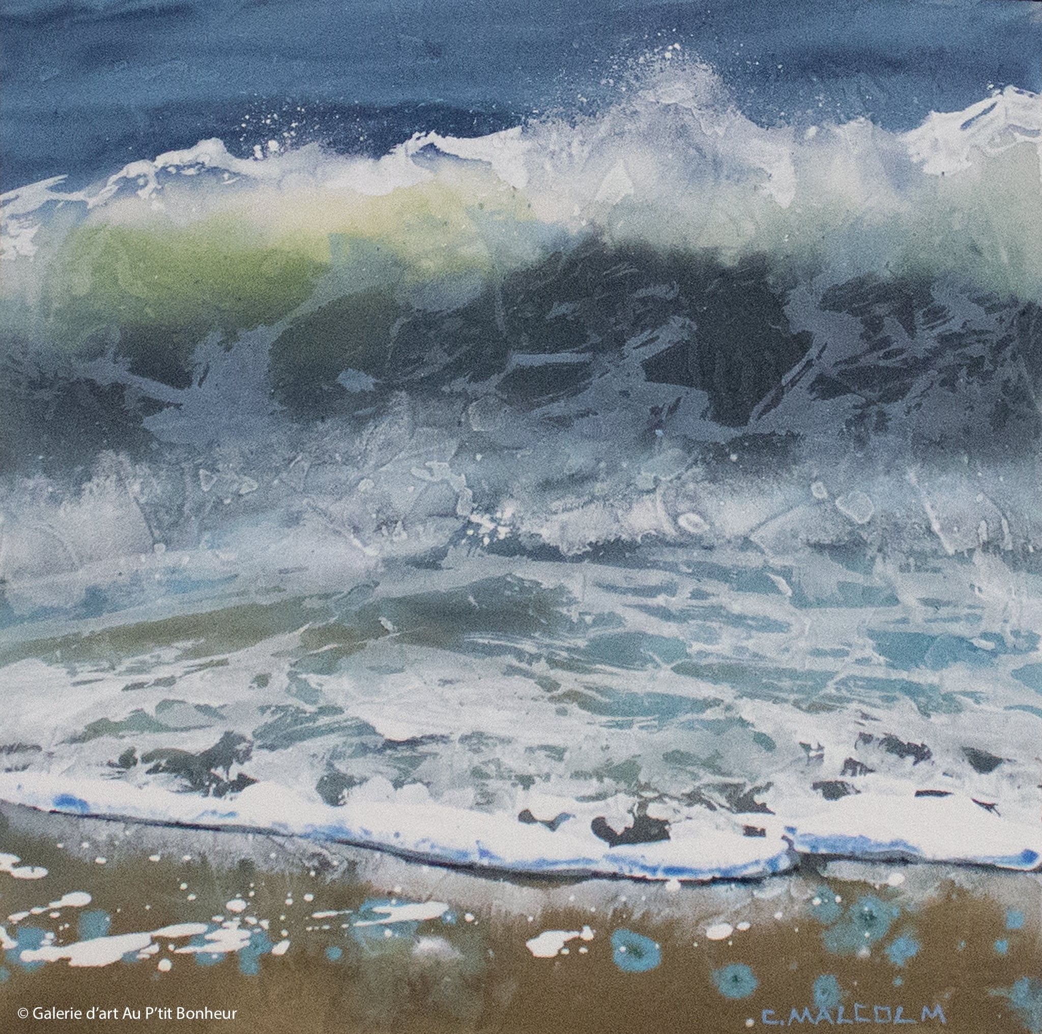 Carole Malcolm | Shoreline Study 13822