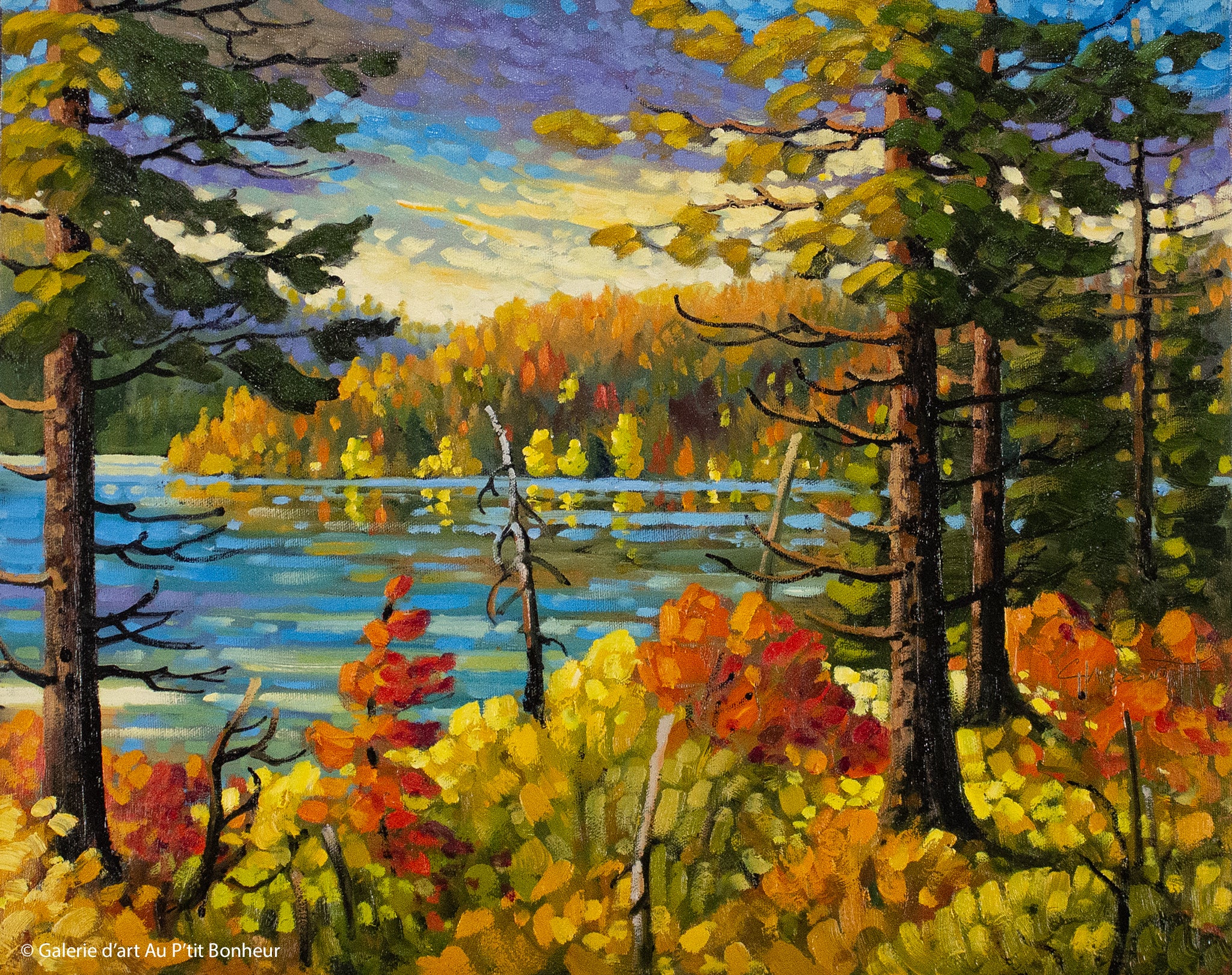 Rod Charlesworth | Algonquin Calm