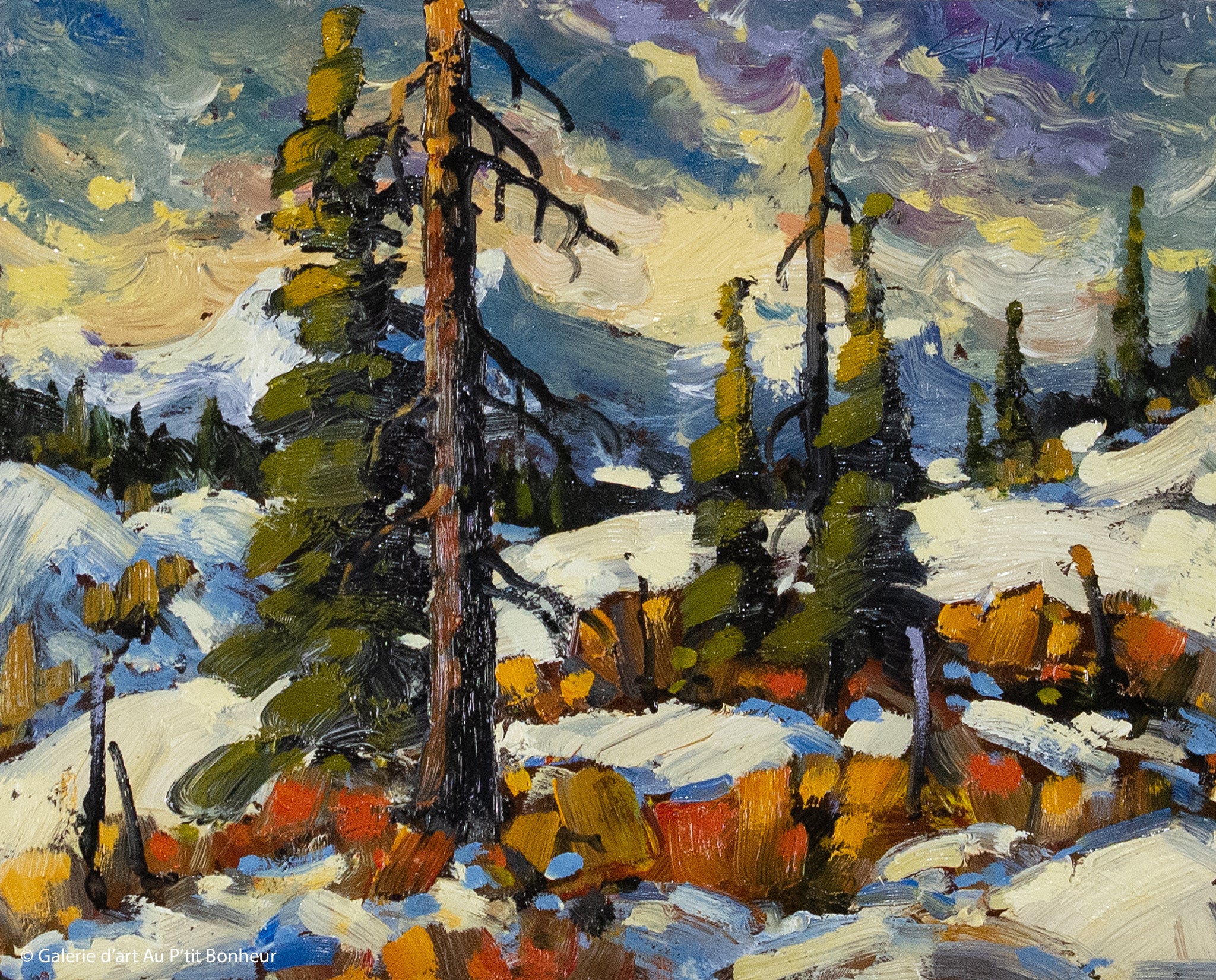 Rod Charlesworth | Rocky Mountain View