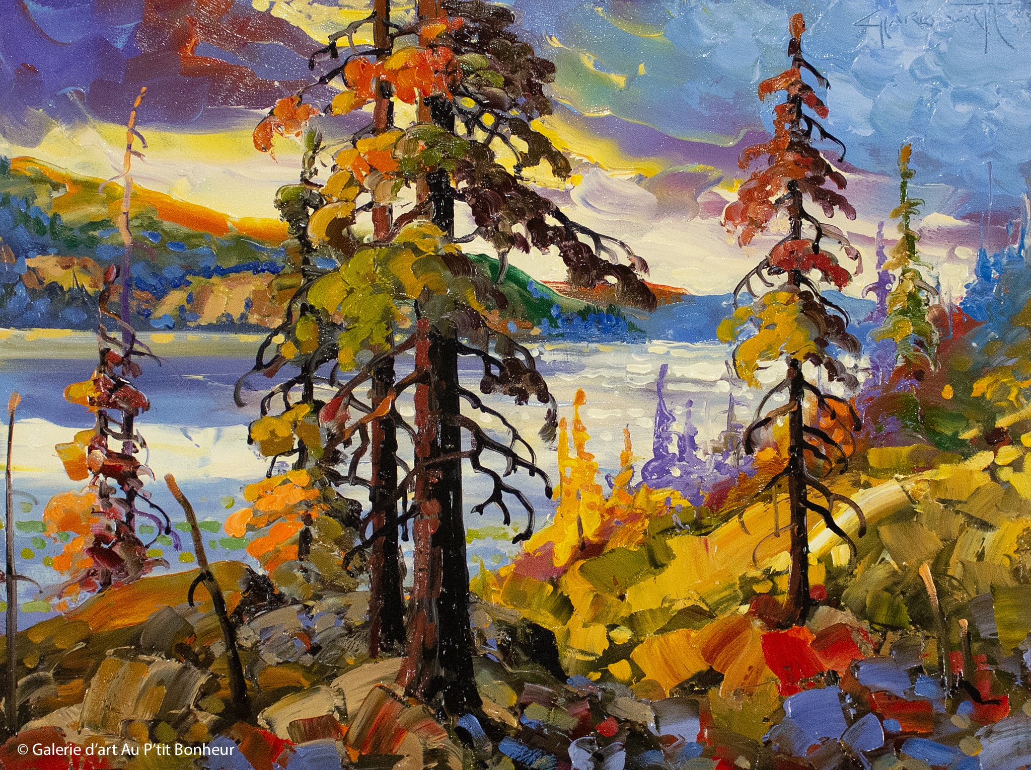 Rod Charlesworth | Bright Hillside, Okanagan