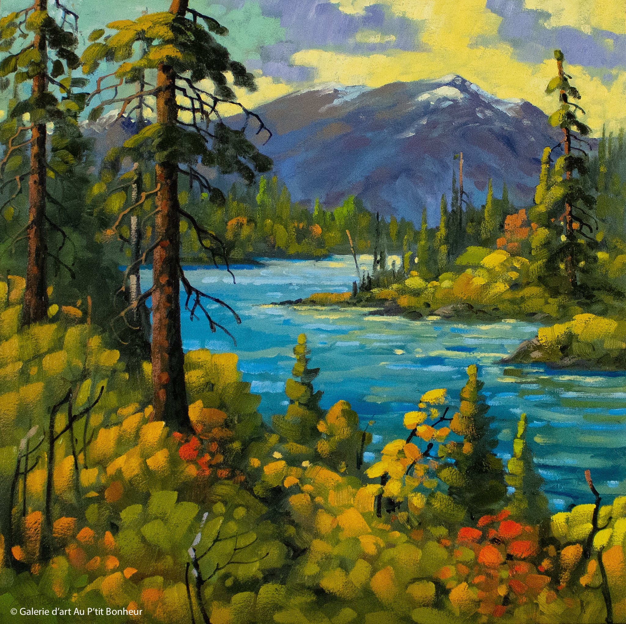 Rod Charlesworth | Kluane Summer, Yukon