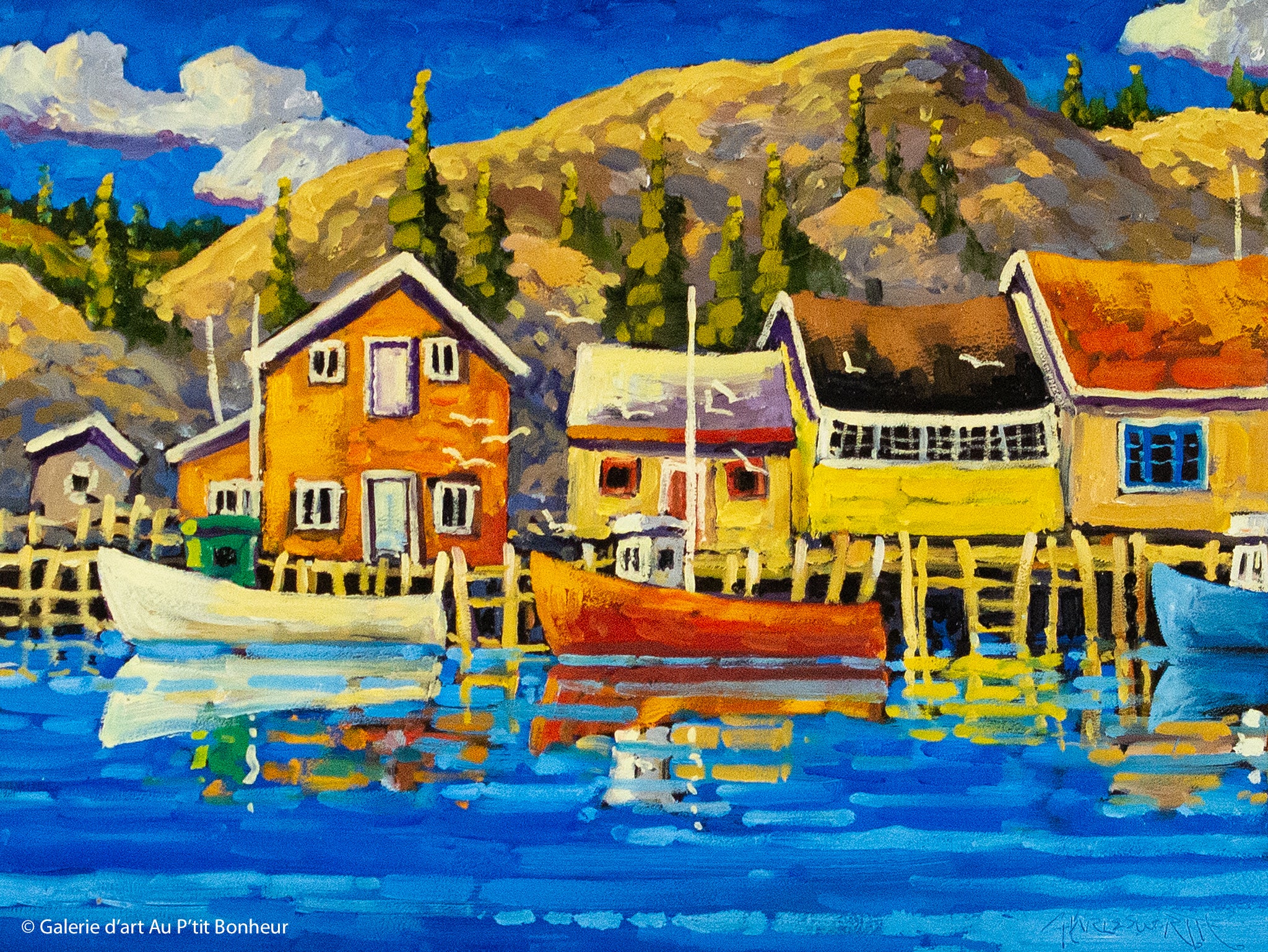 Rod Charlesworth | Quidi Vidi New Foundland Gem