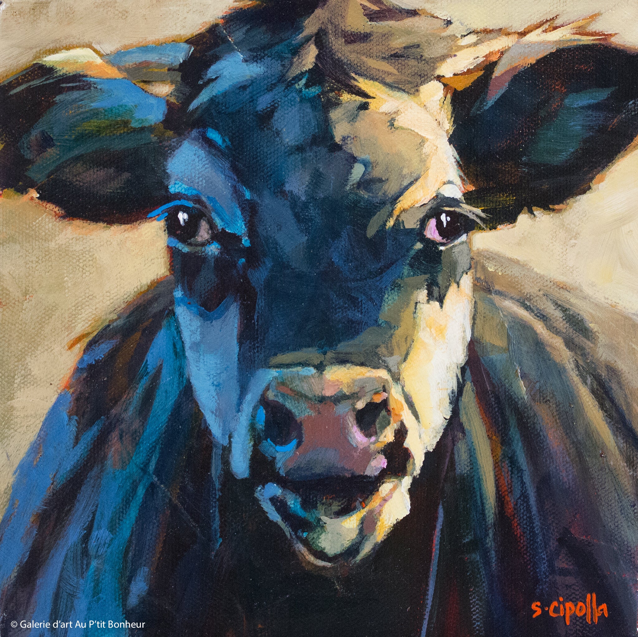 Susie Cipolla | Moo 3 (2017)
